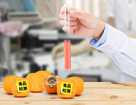食品检测报告出证快慢，由哪些技术环节决定？